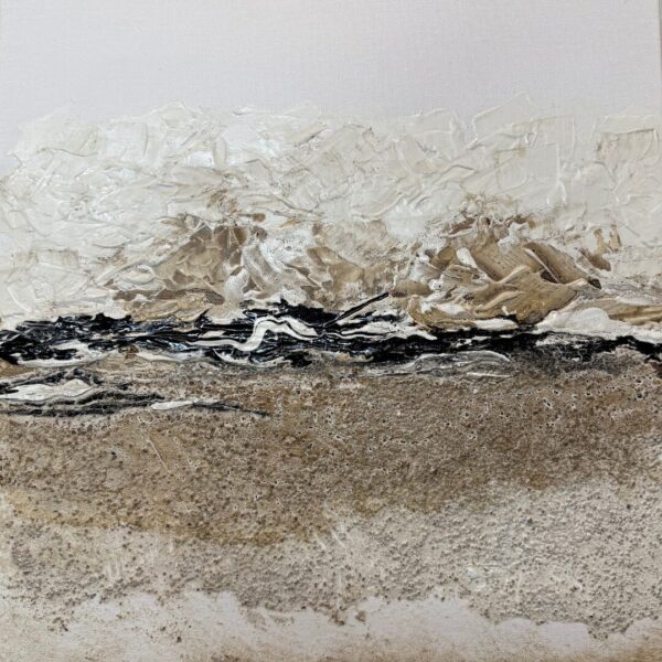 Frontera salina 40x40